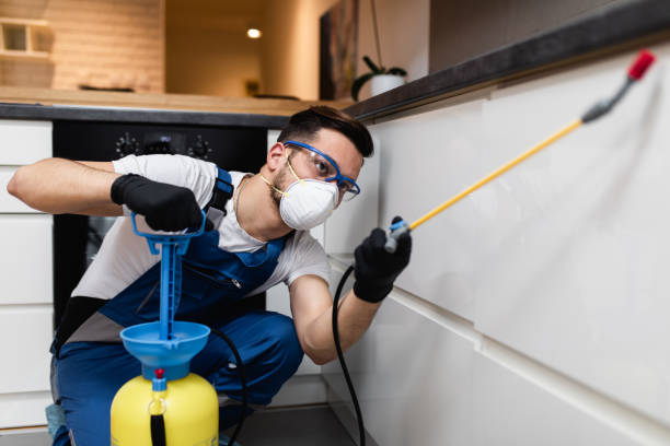 Best Termite Control Services  in Pistakee Highlands, IL