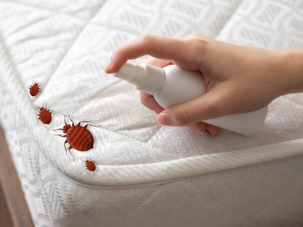 Best Insect Control  in Pistakee Highlands, IL